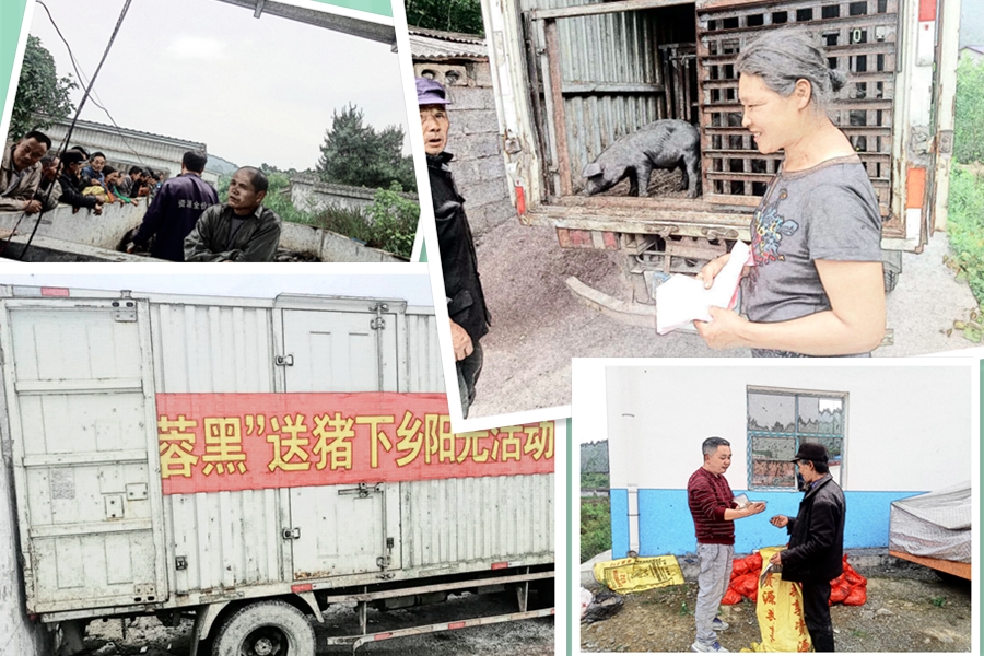 C:\Users\Administrator\Desktop\2018.05.16-236扶贫模式 湘西黑猪变金猪\于家村.jpg